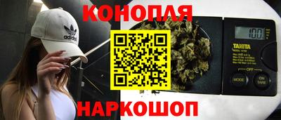 хмурый Новозыбков