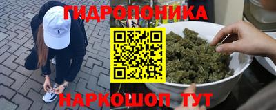 mdpv Новодвинск