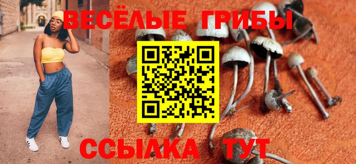Мефедрон Сунжа