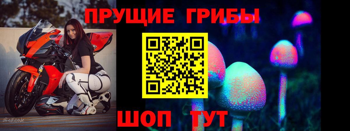 где купить наркотик  Вход с VPN  Сунжа  Псилоцибиновые грибы Psilocybine cubensis 